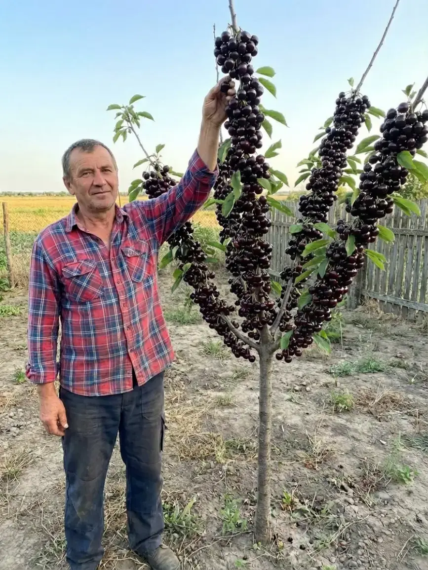 Результат наших клієнтів